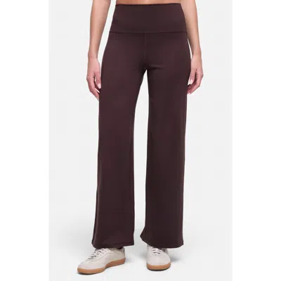 Balance Collection Lizzie Wide Leg Pants In Mole