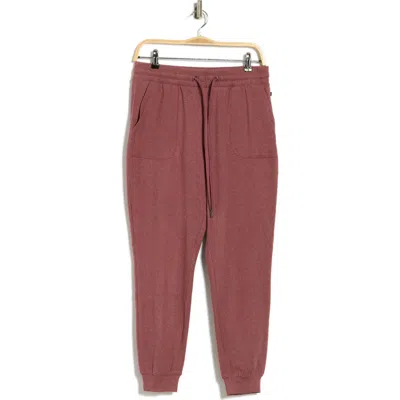 Balance Collection Rempy Joggers In Brown