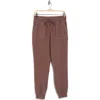Balance Collection Rempy Joggers In Brown
