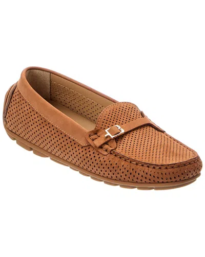 Baldini Suede Loafer In Brown