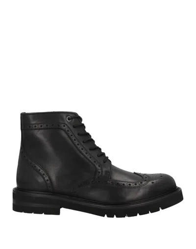 Baldinini Ankle Boots In Black
