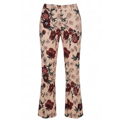 Baldinini Trend Pink Cotton Women Pants In Multi