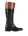 Baldinini Woman Boot Black Size 8 Calfskin In Black