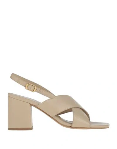 Baldinini Woman Sandals Beige Size 6 Leather In Gray
