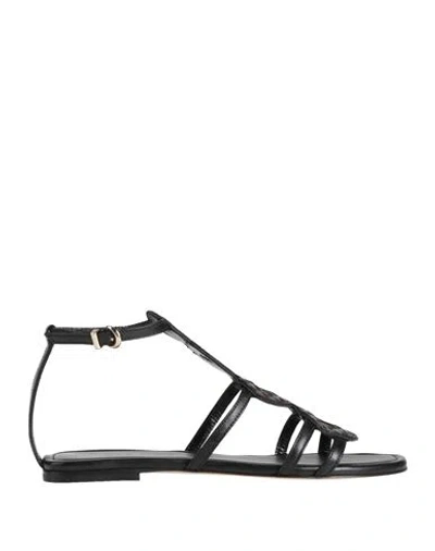 Baldinini Woman Sandals Black Size 10 Leather