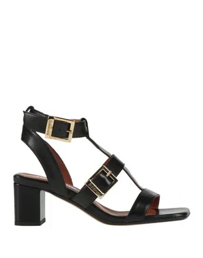 Baldinini Woman Sandals Black Size 6 Calfskin