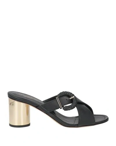 Baldinini Woman Sandals Black Size 7 Calfskin