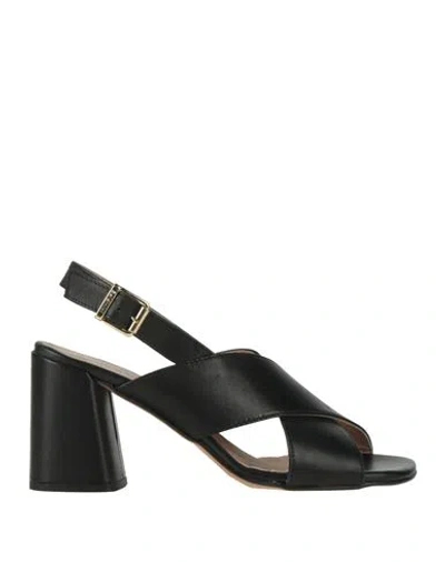 Baldinini Woman Sandals Black Size 7 Leather