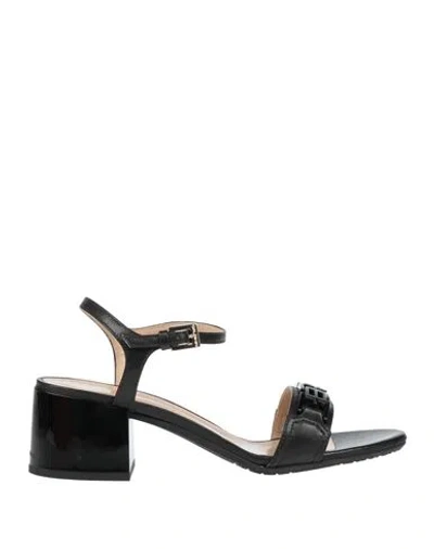 Baldinini Woman Sandals Black Size 7.5 Leather