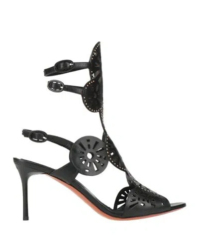 Baldinini Woman Sandals Black Size 8 Calfskin