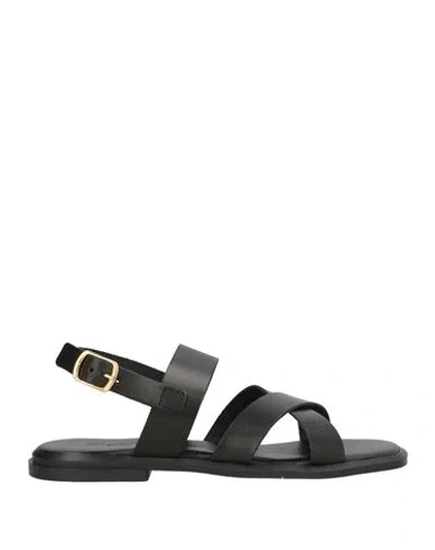 Baldinini Woman Sandals Black Size 8 Leather