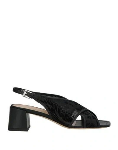 Baldinini Woman Sandals Black Size 8 Textile Fibers