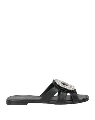 Baldinini Woman Sandals Black Size 9 Leather