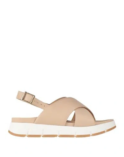 Baldinini Woman Sandals Blush Size 8 Leather In Pink