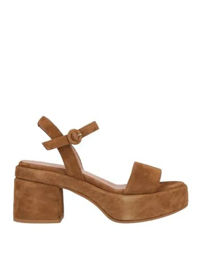 Baldinini Woman Sandals Brown Size 6 Leather