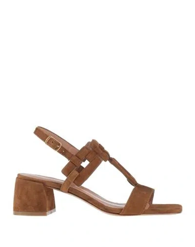 Baldinini Woman Sandals Brown Size 11 Soft Leather