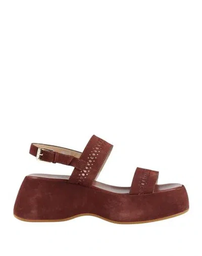 Baldinini Woman Sandals Chocolate Brown Size 7.5 Leather