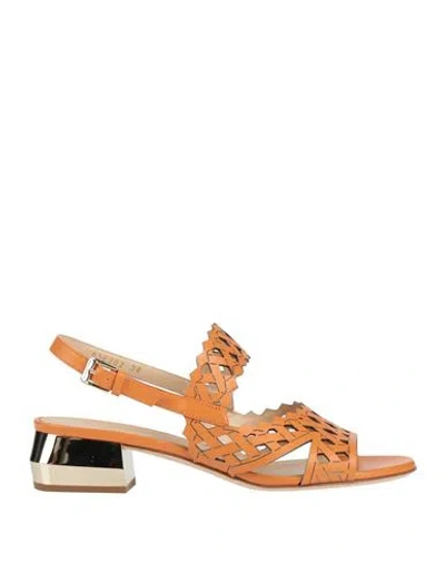 Baldinini Woman Sandals Mandarin Size 8 Calfskin