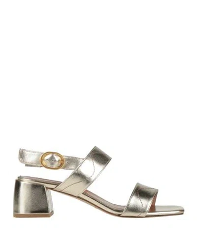 Baldinini Woman Sandals Platinum Size 6 Leather In Grey