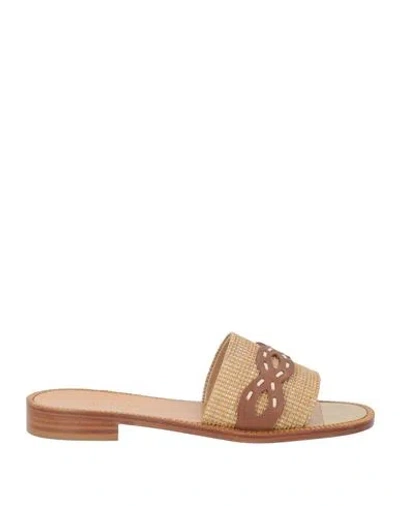 Baldinini Woman Sandals Sand Size 6 Leather, Natural Raffia In Brown