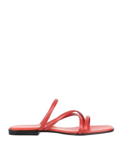 Baldinini Woman Sandals Tomato Red Size 8 Soft Leather
