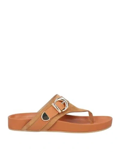 Baldinini Woman Thong Sandal Tan Size 6 Leather In Brown