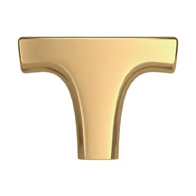 Baldwin 4970 Palm Springs Knob In Non-lacquered Brass