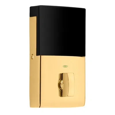 Baldwin Minneapolis Touchscreen Standalone Deadbolt In Polished Brass