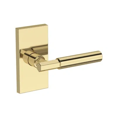 Baldwin Riddling Passage Lever With Contemporary 5in Rose In Lifetime (pvd) In Unlacquered Brass