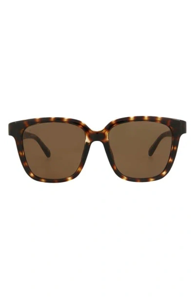 Balenciaga 54mm Square Sunglasses In Havana Havana Brown