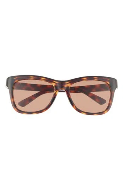 Balenciaga 55mm Square Sunglasses In Havana Havana Brown