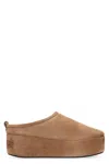 Balenciaga Alaska Soft Suede Mules In Brown