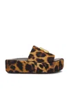 Balenciaga Rise Bb Leopard Flatform Sandals In Leopard & Oro