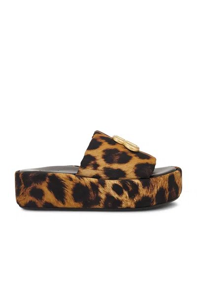 Balenciaga Rise Bb Leopard Flatform Sandals In Multi