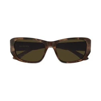 BALENCIAGA BB0365S-002 HAVANA-HAVANA-BROWN