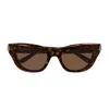 Balenciaga Bb0430s Linea Everyday 002 Havana Brown Sunglasses In Brown