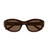 Balenciaga Bb0434sk Linea Everyday 002 Havana Brown Sunglasses In Brown