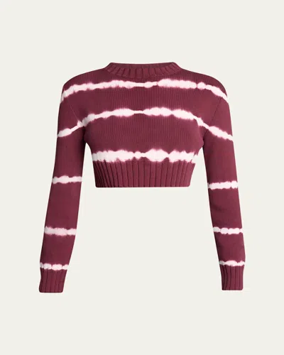 Balenciaga Bleach Striped Crop Crewneck Sweater In Burgundy