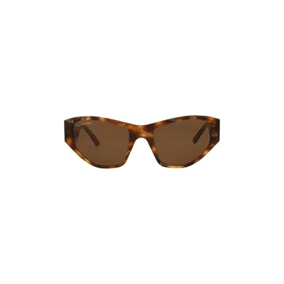 Pre-owned Balenciaga Cat Eye Sunglasses 'havana/brown' | Women's Size Onesize