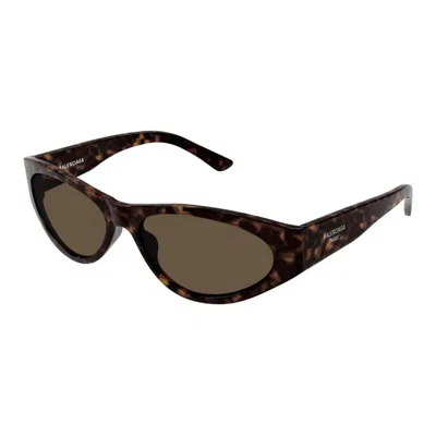 Balenciaga Havana-havana-brown Acetate Sunglasses