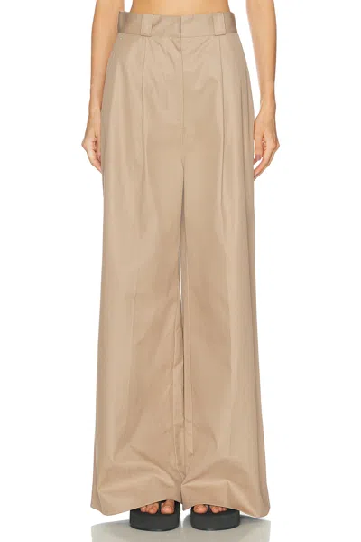 Balenciaga High Waist Pant In Brown