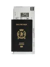 Balenciaga Men 1-card Long Passport Wallet In Black In Black