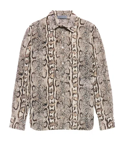Balenciaga Silk Python Print Shirt In Animal Print