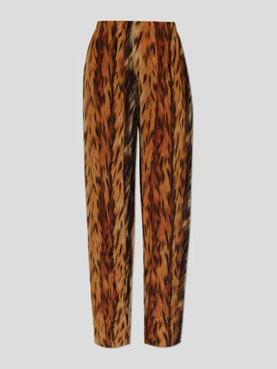 Balenciaga Trouser In Brown