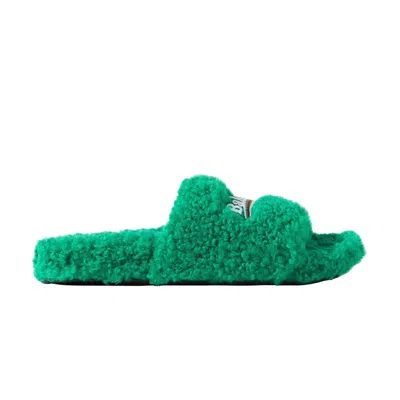 Pre-owned Balenciaga Wmns Furry Slides 'green' | Women's Size 36
