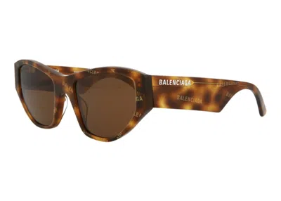 Pre-owned Balenciaga Women's  Cat Eye Sunglasses003)brown (bb0097s In Havana/havana Brown (bb0097s/30008869