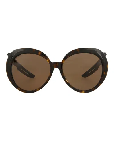 Pre-owned Balenciaga Women's  Roundframe Acetate Sunglasses/30007767001) In Havana/black/brown (bb0024sa