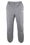 Balenciaga Women Jogging Pants In Gray