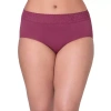 Bali Comfort Revloution Modern Seamless Lace Trim Brief Panty Dfmlbf In Purple