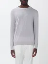 Ballantyne セーター メンズ カラー グレー In Animal Print